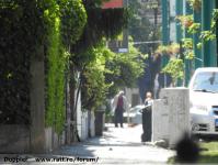 Imagine atasata: Pasaj Popa Sapca - 2018.05.20 - 089.jpg